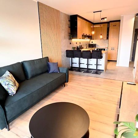 Cisza Przy Lodzkiej By Rentoom Apartman Stary Toruń Kültér fotó